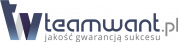 Logo Teamwant Light